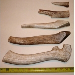 Elk Antlers Whole Dog Chews Elk Antlers